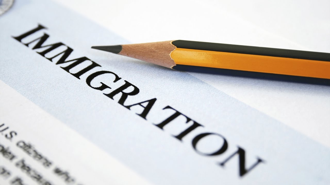 How Immigration Services Save You Time, Stress, and Money